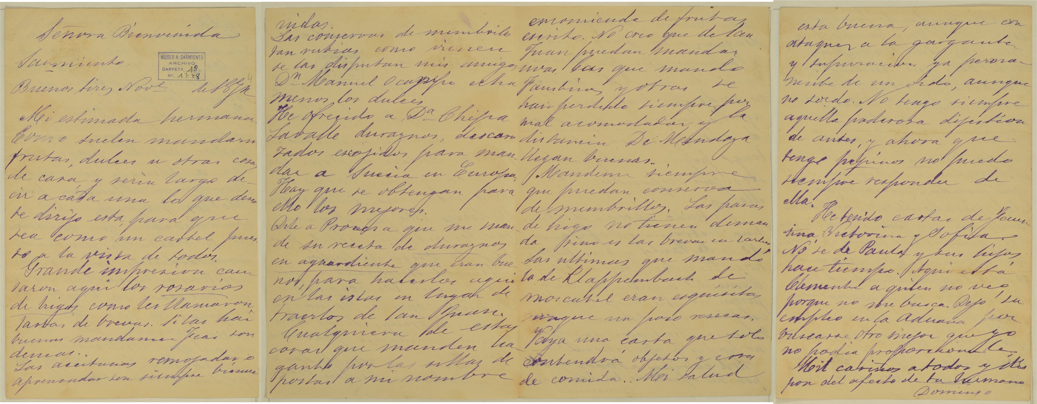 Carta a Bienvenida Sarmiento (noviembre de 1874)